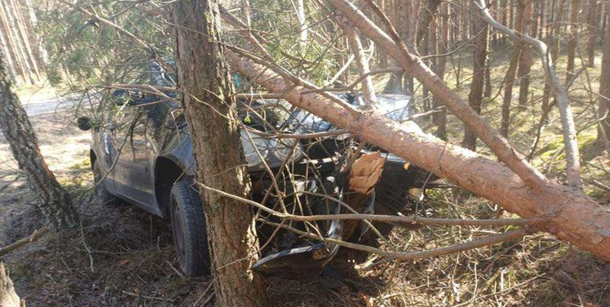 Pijany kierowca bez uprawnień uderzył w drzewo pod Debrznem