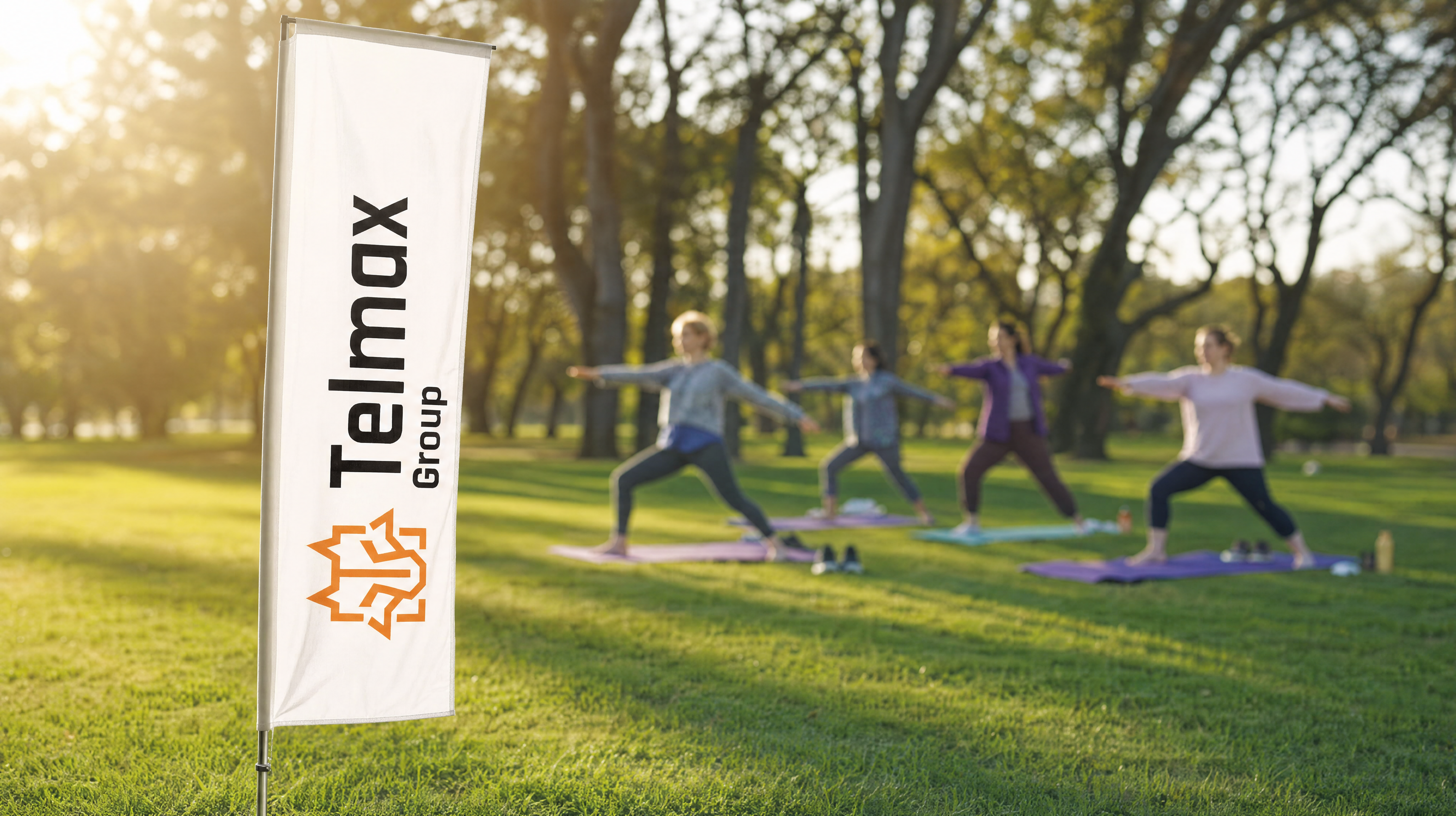Źródło: Telmax Group