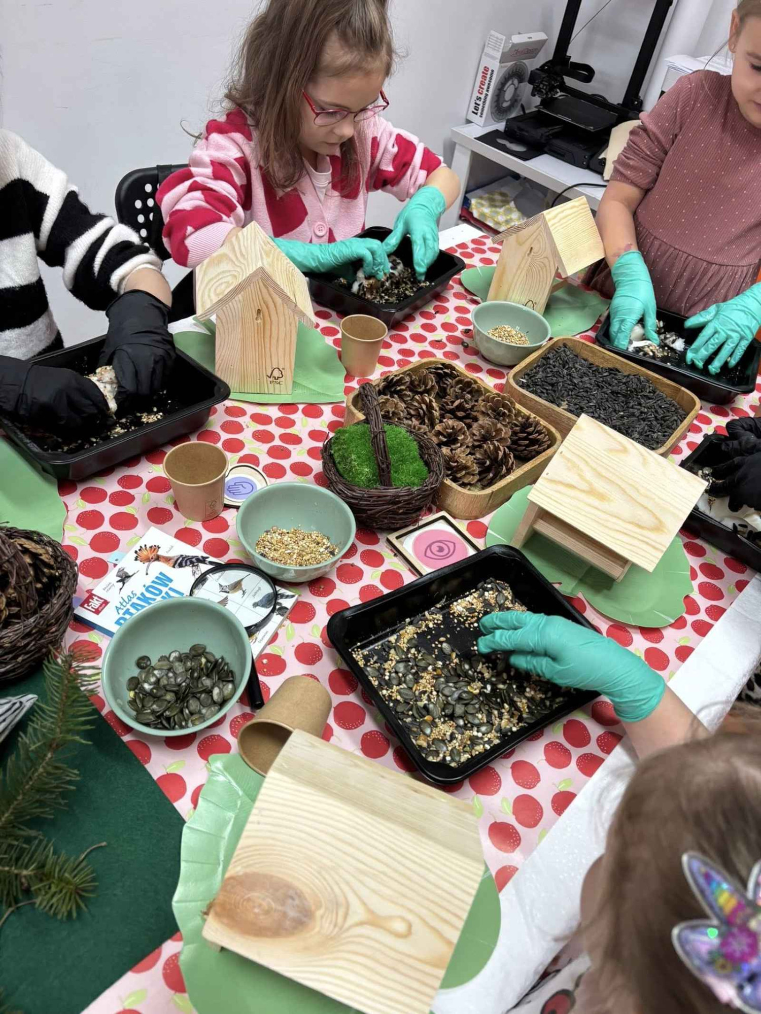 Źródło: CKSiT w Debrznie