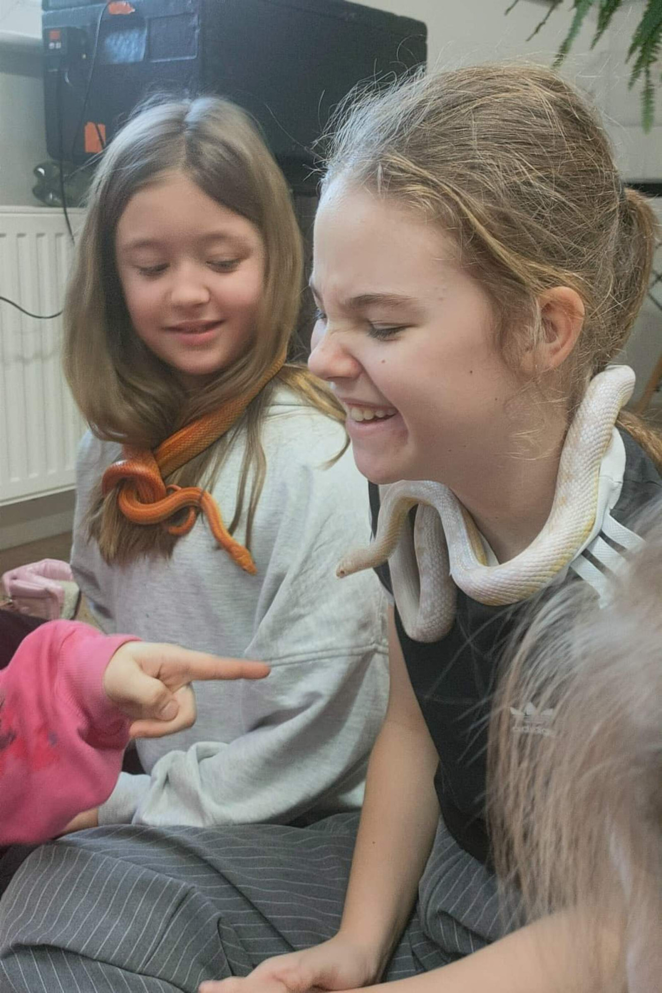 Źródło: CKSiT w Debrznie