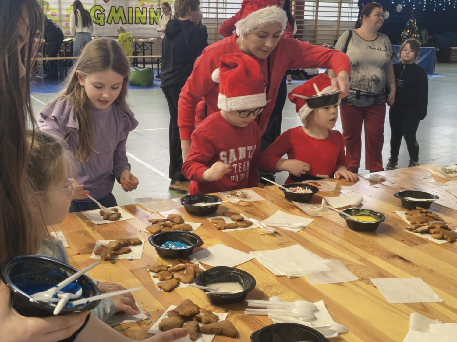 Źródło: Miasto i Gmina Debrzno