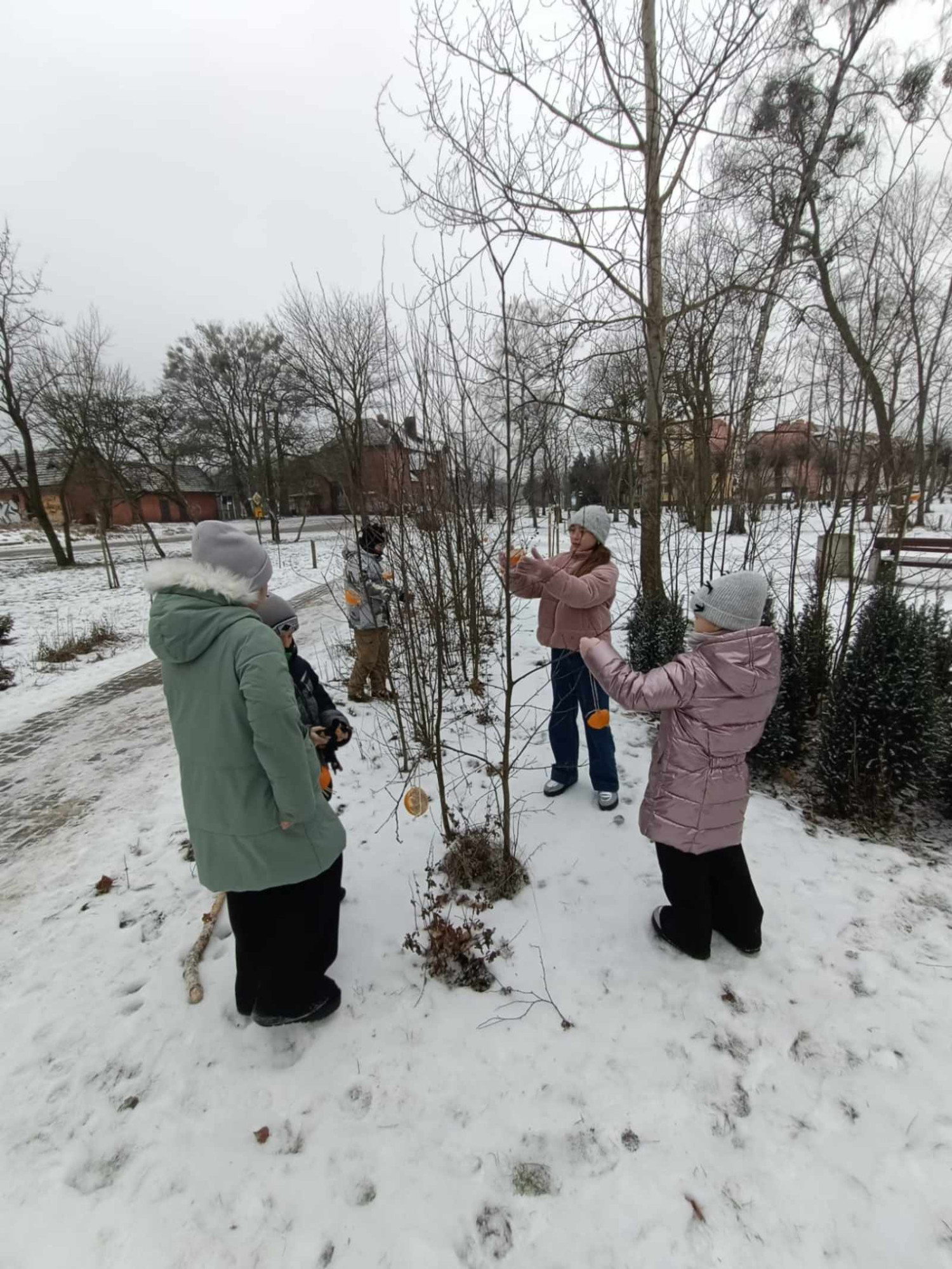 Źródło: Biblioteka w Czarnem
