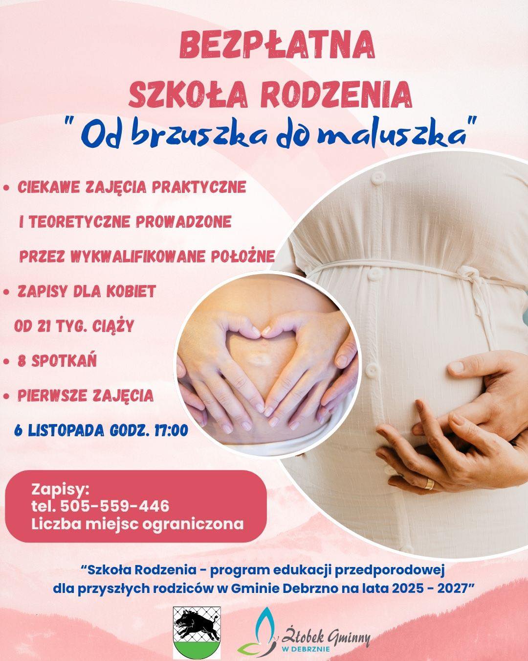 Źródło: Urząd Miasta i Gminy Debrzno