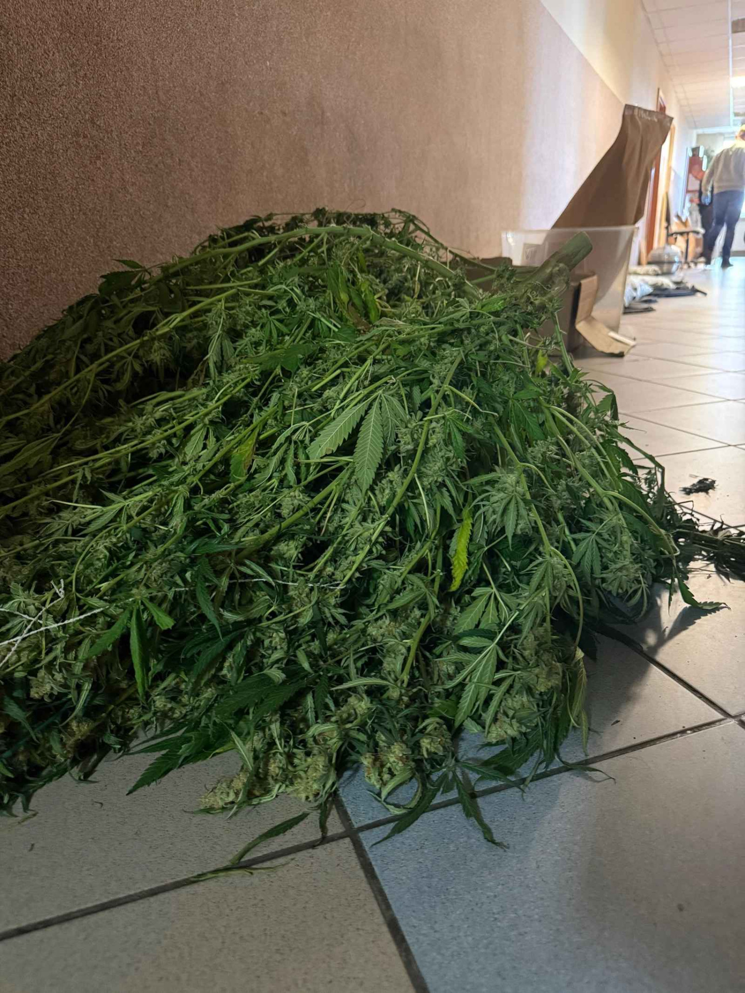 Źródło: KPP Człuchów